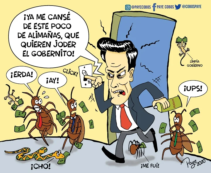 Panamanian President Clean up the State cartoon