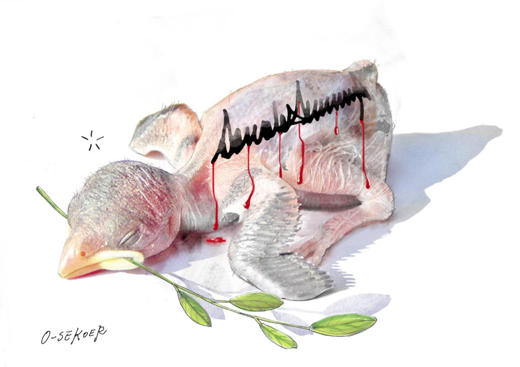 Signature for Middle East Peace plan 11 Signature for Middle East Peace plan Cartoon