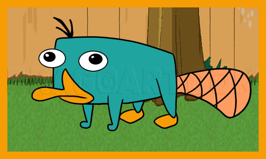 How To Draw Perry The Platypus From Phineas And Ferb Easy Tutorial 6 Steps Toons Mag