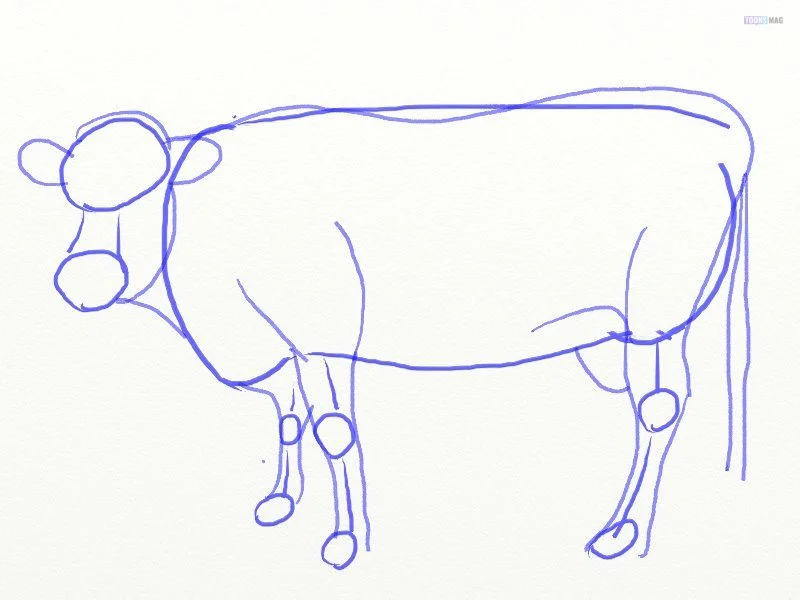How to draw Cow easy for beginners step by step/animal drawing - YouTube