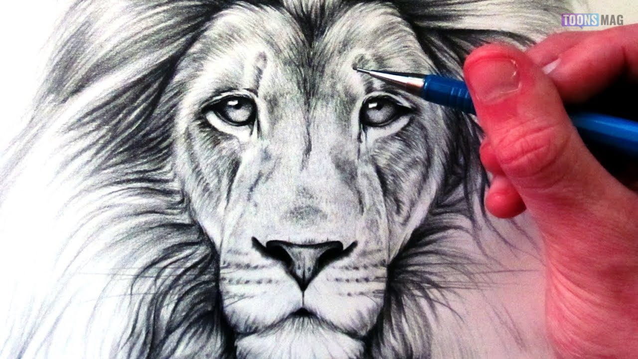 realistic lion face drawing - Clip Art Library-saigonsouth.com.vn