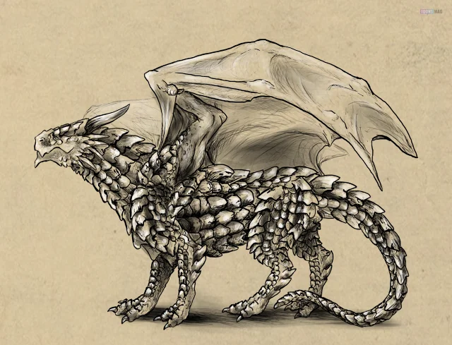 drawings of dragons realistic