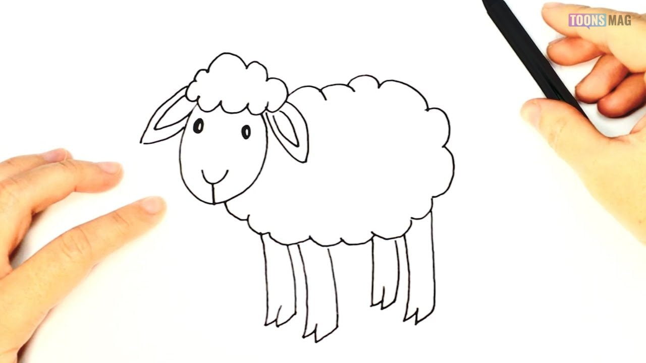 How to Draw a Sheep  Envato Tuts