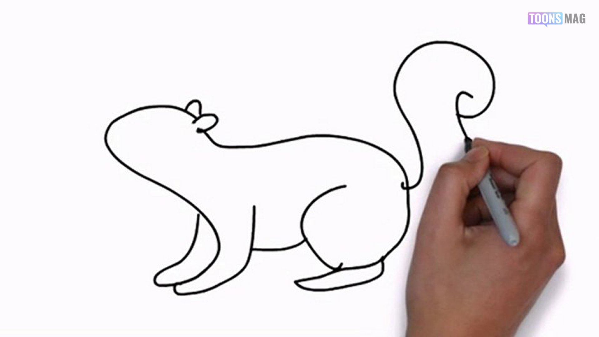 How To Draw A Squirrel Easy Tutorial, 5 Steps - Toons Mag