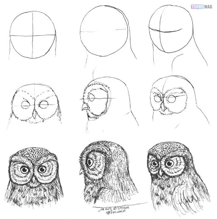 Owl pencil sketch | Owl pencil sketch for kids | how to draw | school |  disney cartoon - YouTube