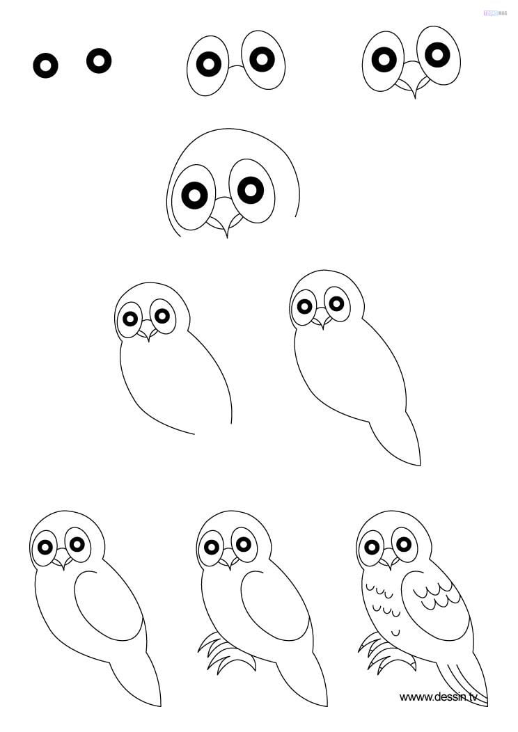 How To Draw An Owl Easy Tutorial - Toons Mag