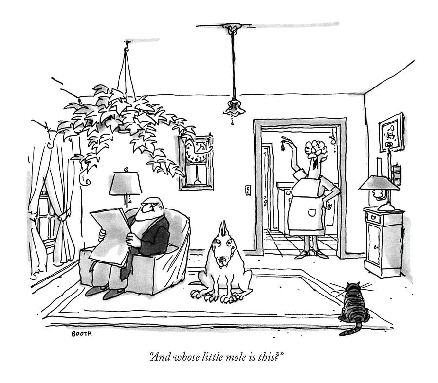 George Booth (1926–) 12 George Booth