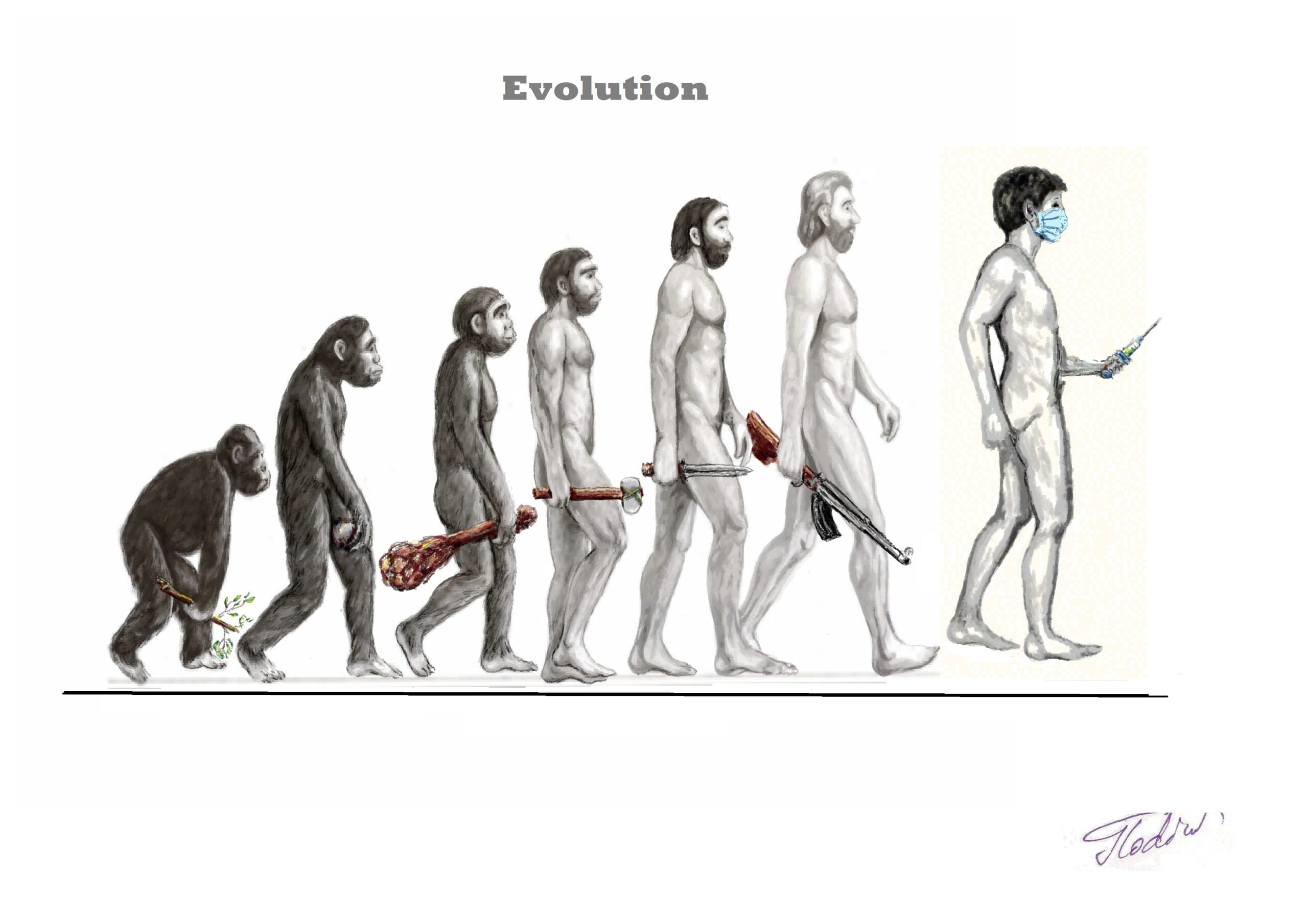 Male Evolution Evolution Of Man Original