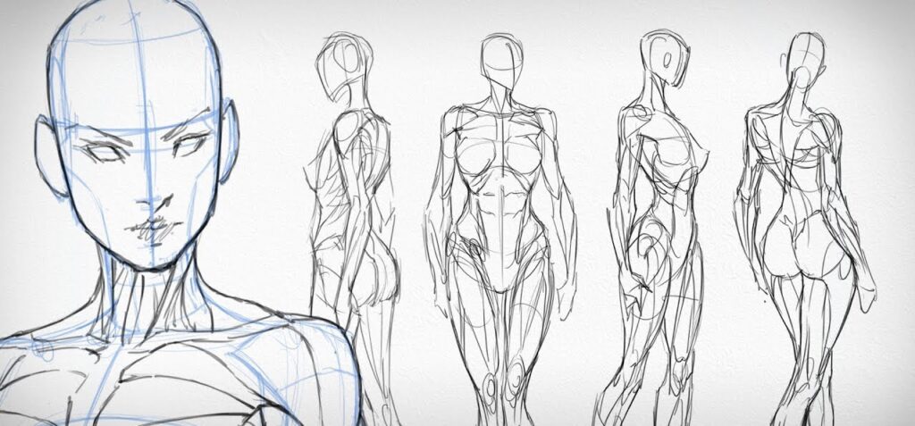 Anatomy For Artists Drawing For Animation Sculpture and Body Expression  Reference Book