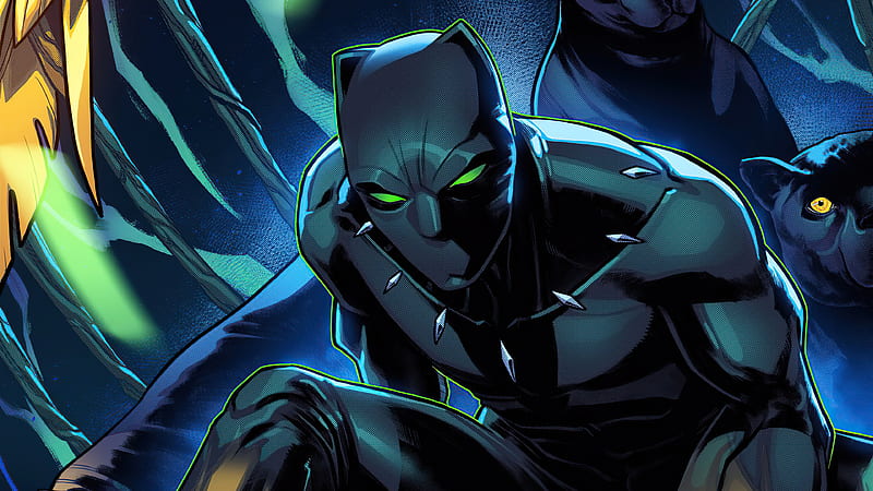 25+ Most Famous Comics Characters from the World 30 Black Panther (Marvel Comics)
