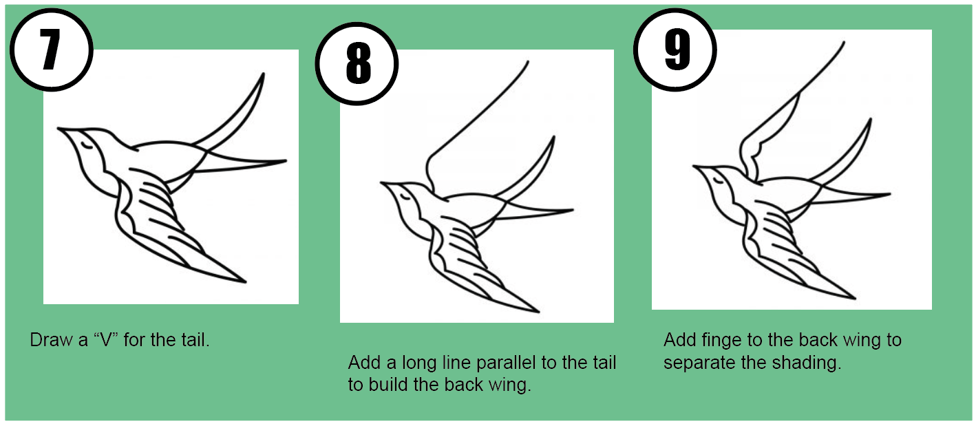 sparrow3 - How to Draw American Traditional Tattoos