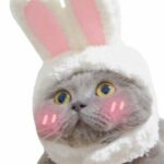 Profile picture of Liam Smith